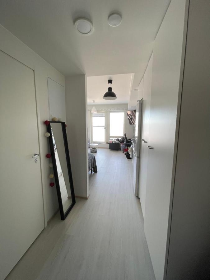רובניימי Arctic Penthouse Studio With Free Parking And High-Speed Wi-Fi מראה חיצוני תמונה