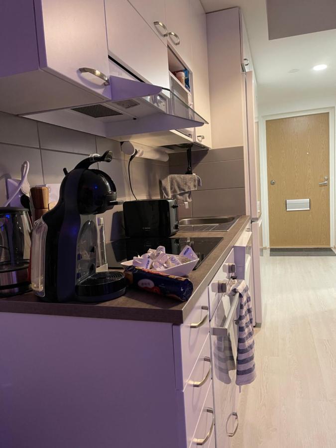 רובניימי Arctic Penthouse Studio With Free Parking And High-Speed Wi-Fi מראה חיצוני תמונה
